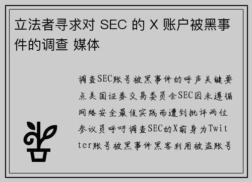 立法者寻求对 SEC 的 X 账户被黑事件的调查 媒体
