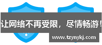 让网络不再受限，尽情畅游！